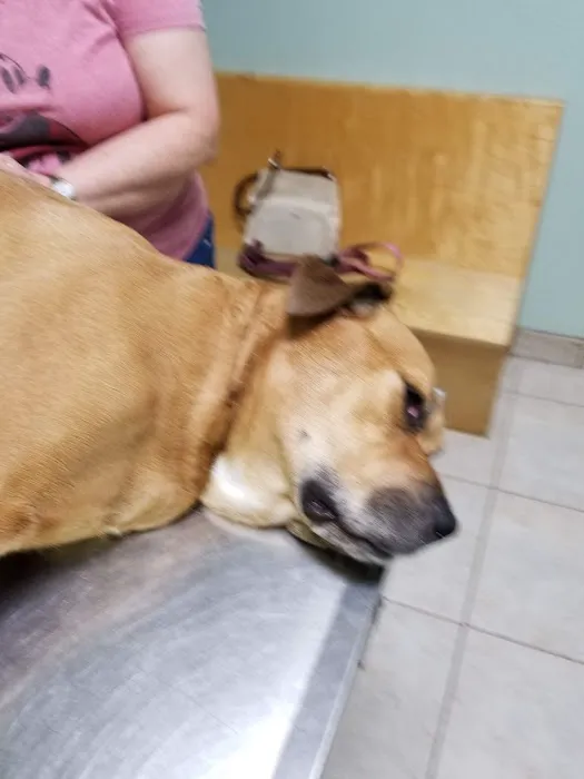 Jordan Veterinary Clinic 6