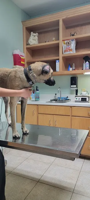 Jordan Veterinary Clinic 3