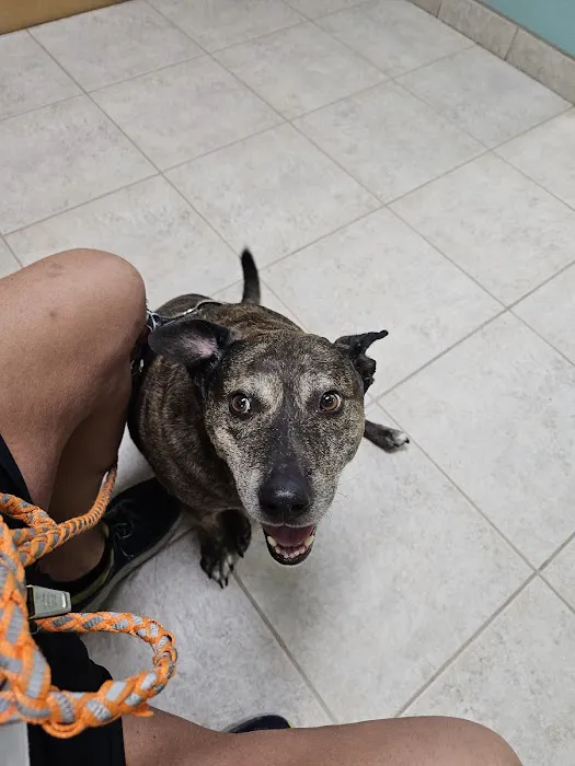 Jordan Veterinary Clinic 9