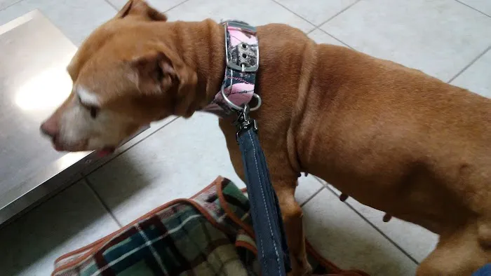 Jordan Veterinary Clinic 1
