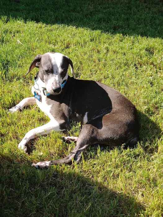 Galveston Veterinary Clinic 1