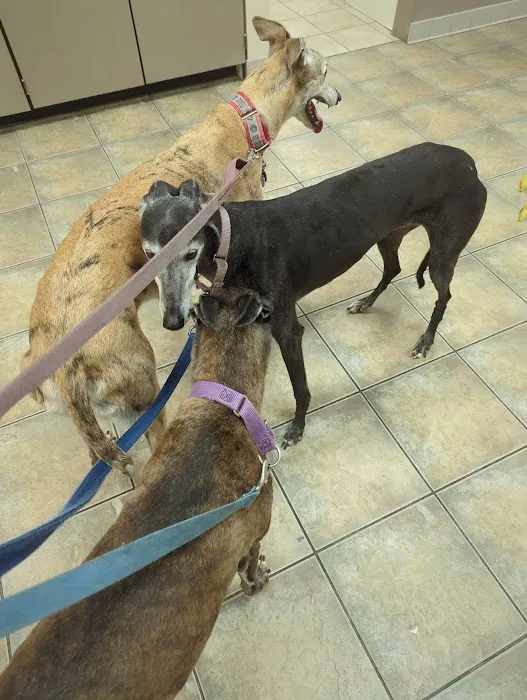 Galveston Veterinary Clinic 5