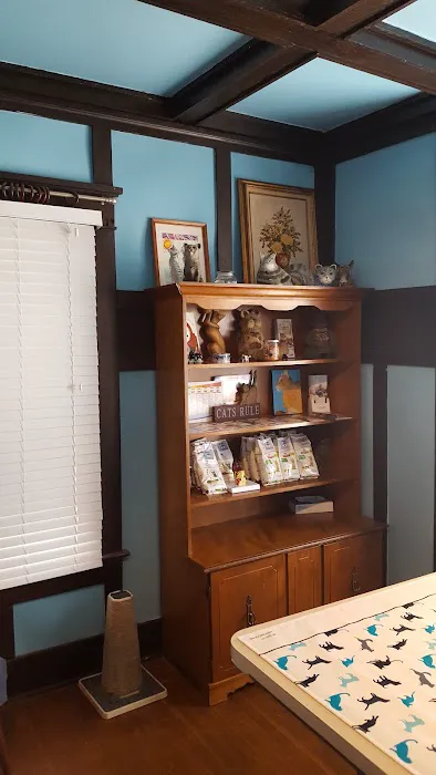 The Cat Clinic 2