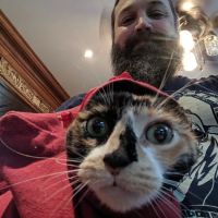 The Animal Clinic ico