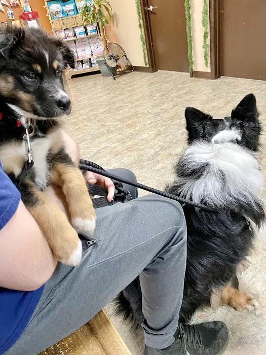 Stone Ridge Veterinary Medical Center 7