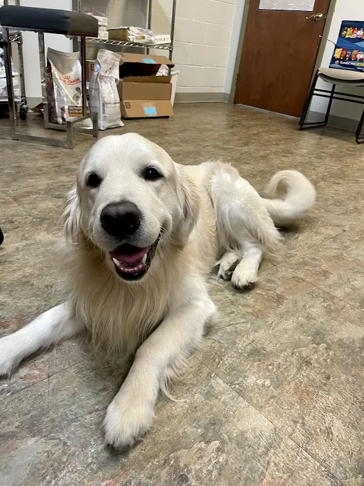 Stone Ridge Veterinary Medical Center 1