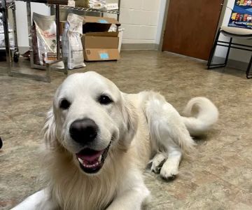 Stone Ridge Veterinary Medical Center