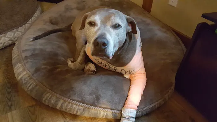 Stone Ridge Veterinary Medical Center 3
