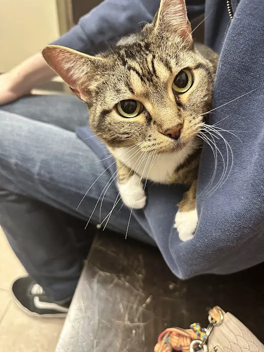 Stone Ridge Veterinary Medical Center 6
