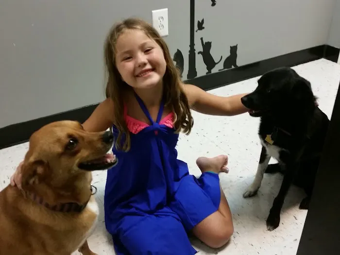 Bridgeway Animal Clinic 12