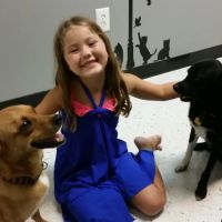 Bridgeway Animal Clinic ico