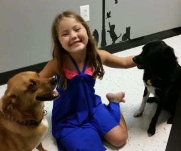 Bridgeway Animal Clinic