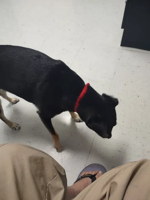 Bridgeway Animal Clinic 12
