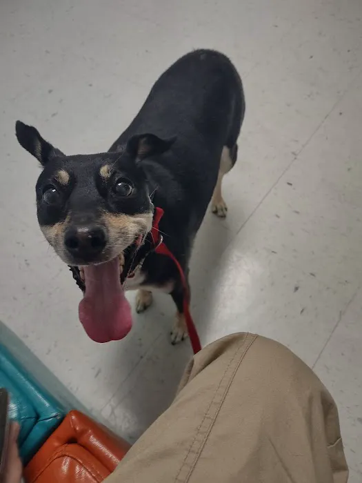 Bridgeway Animal Clinic 12