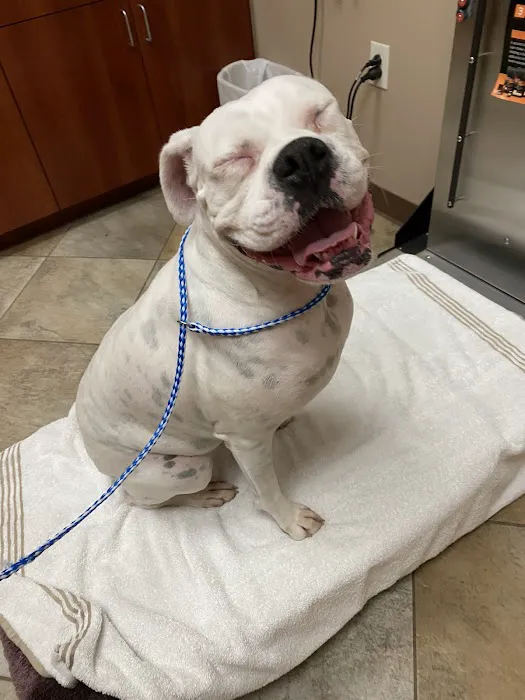 Animal Hospital of Montgomery 12