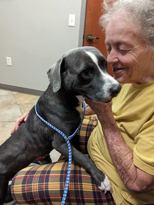 Animal Hospital of Montgomery 12
