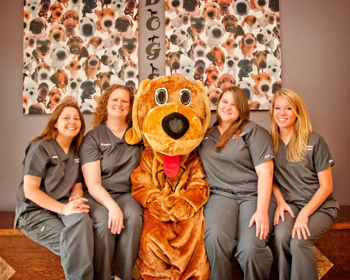 Wags 2 Whiskers Veterinary Hospital 6