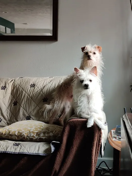 Wags 2 Whiskers Veterinary Hospital 1