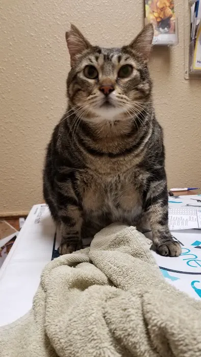 Western Hills Animal Medical & Surgical Clinic 3