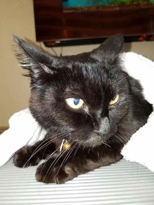 Western Hills Animal Medical & Surgical Clinic 4