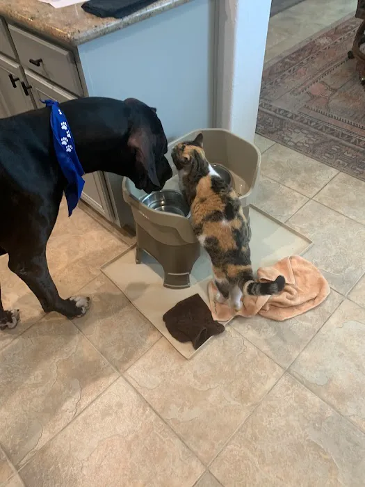 Western Hills Animal Medical & Surgical Clinic 2