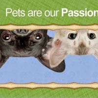 Western Hills Animal Medical & Surgical Clinic ico