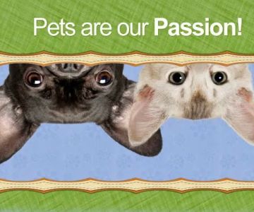 Western Hills Animal Medical & Surgical Clinic