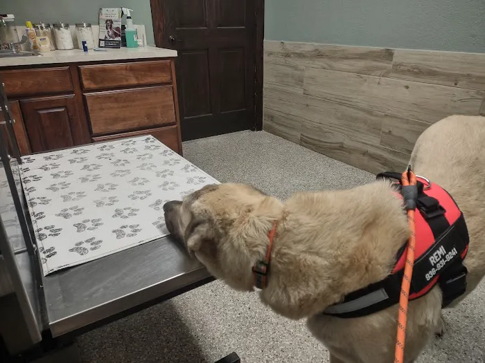 Companion Animal Hospital of Waller 12