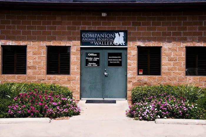 Companion Animal Hospital of Waller 12