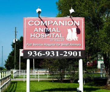 Companion Animal Hospital of Waller