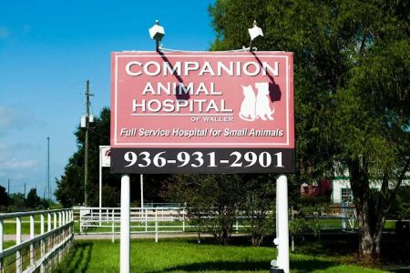 Companion Animal Hospital of Waller