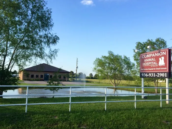 Companion Animal Hospital of Waller 12