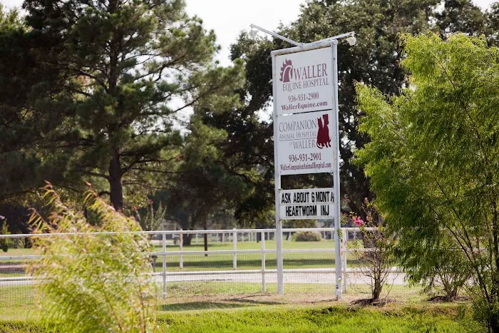 Waller Equine Hospital 12