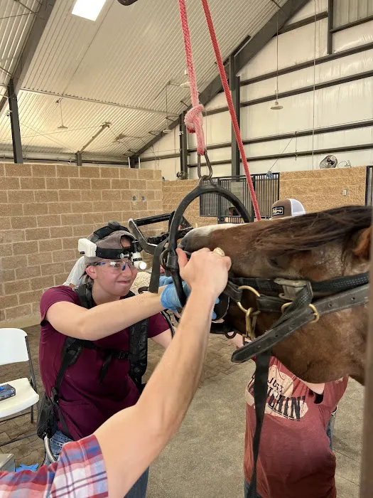 Equine Partners Veterinary Service 12