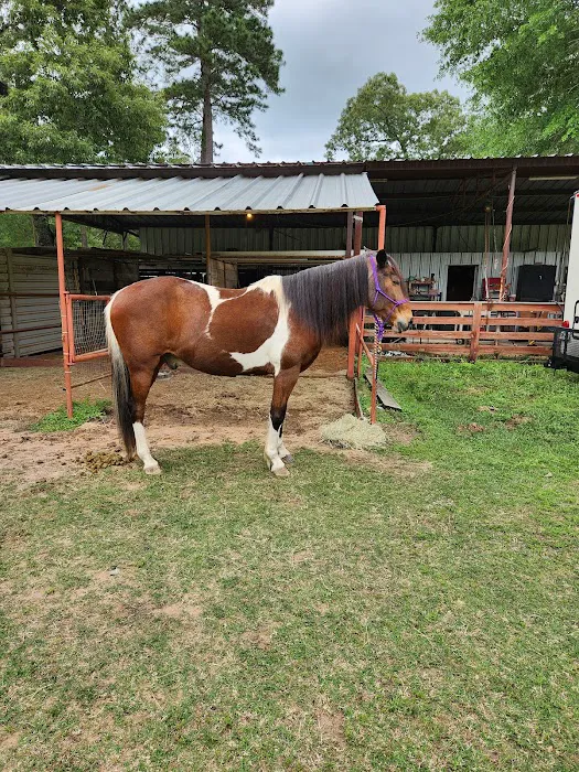 Equine Partners Veterinary Service 12
