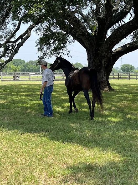 Equine Partners Veterinary Service 12