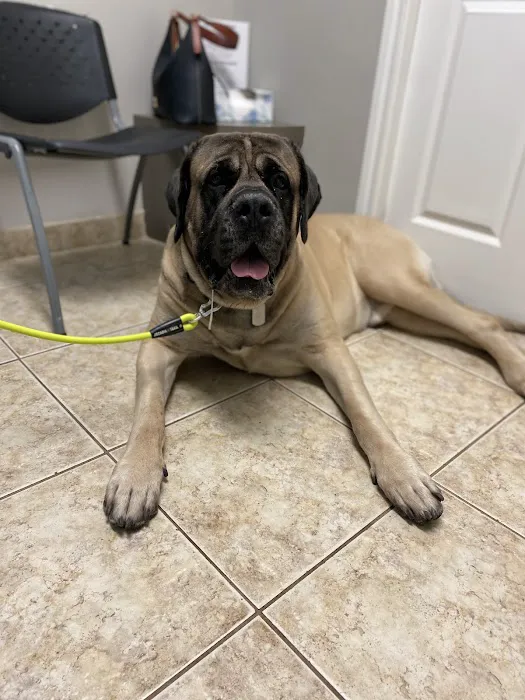 Stoneside Veterinary Hospital 12