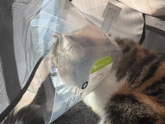 AZ Mobile Pet Vaccines 12