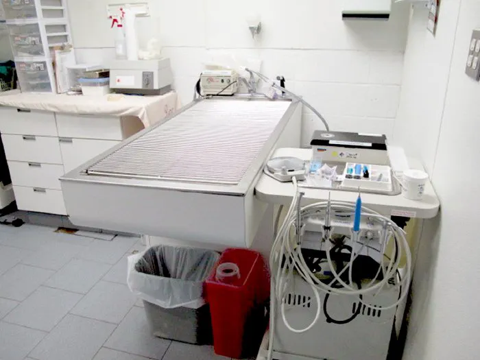 Aldrich Animal Hospital 10