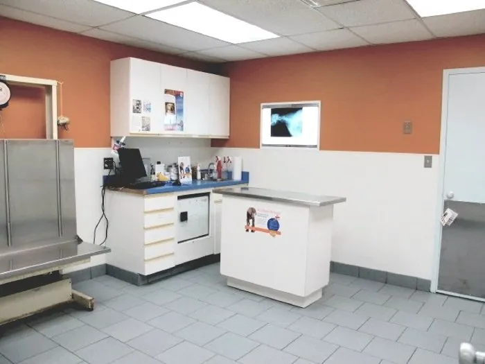Aldrich Animal Hospital 6