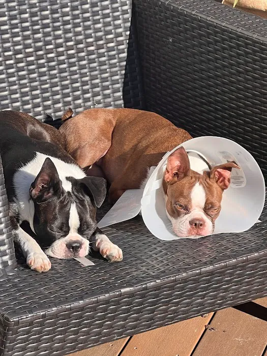 Aldrich Animal Hospital 5