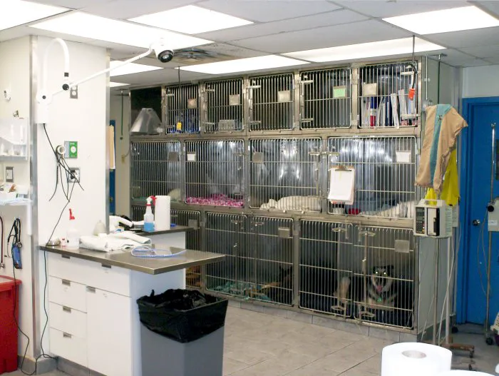 Aldrich Animal Hospital 8