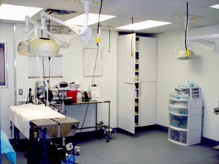 Aldrich Animal Hospital 9