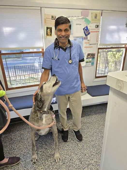 West Babylon Animal Hospital 10
