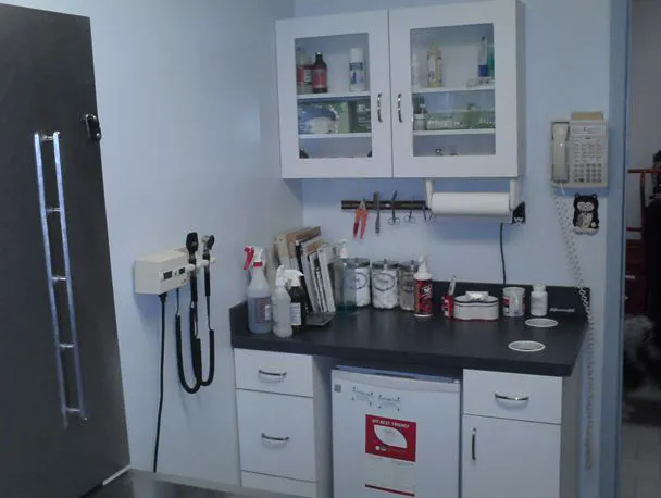 Babylon Animal Hospital 9