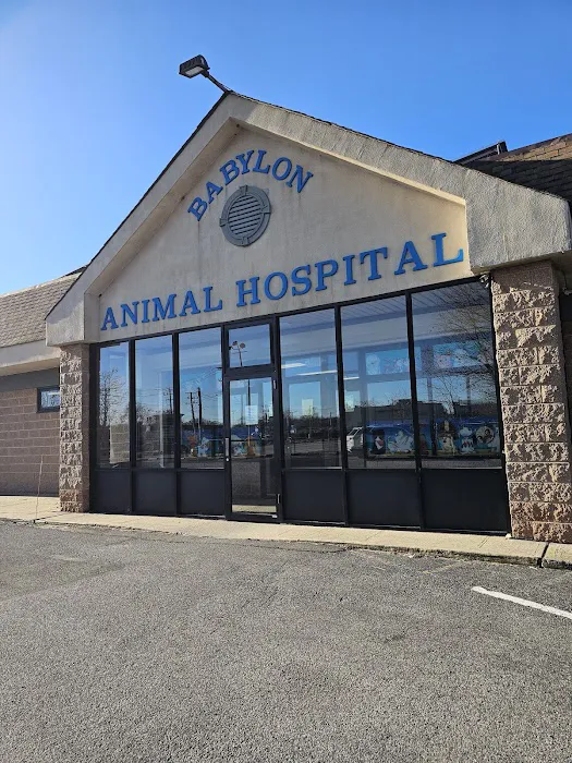 Babylon Animal Hospital 8