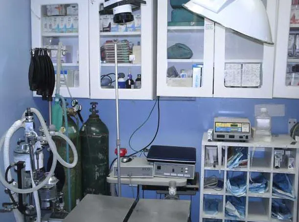 Babylon Animal Hospital 4