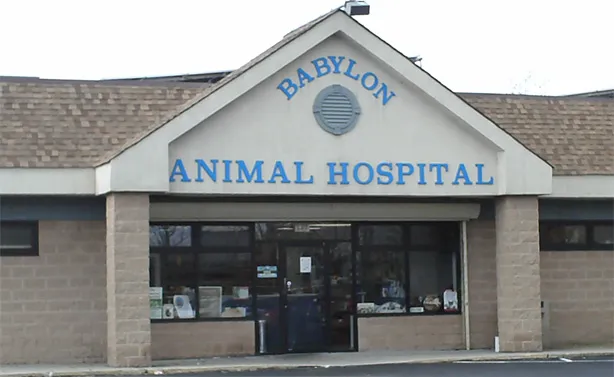 Babylon Animal Hospital 7