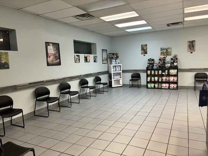 Southgate Animal Hospital 6