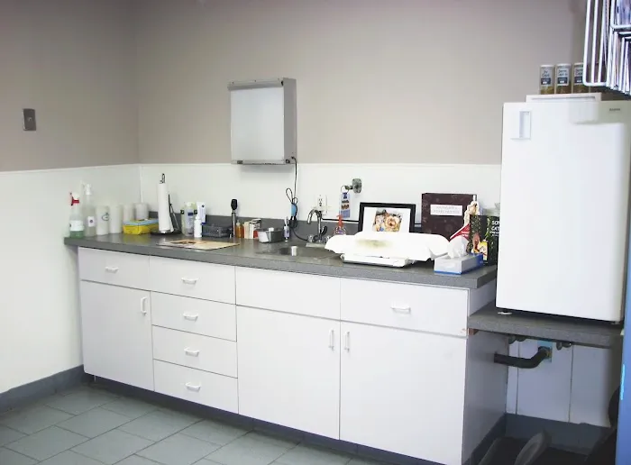Southgate Animal Hospital 2
